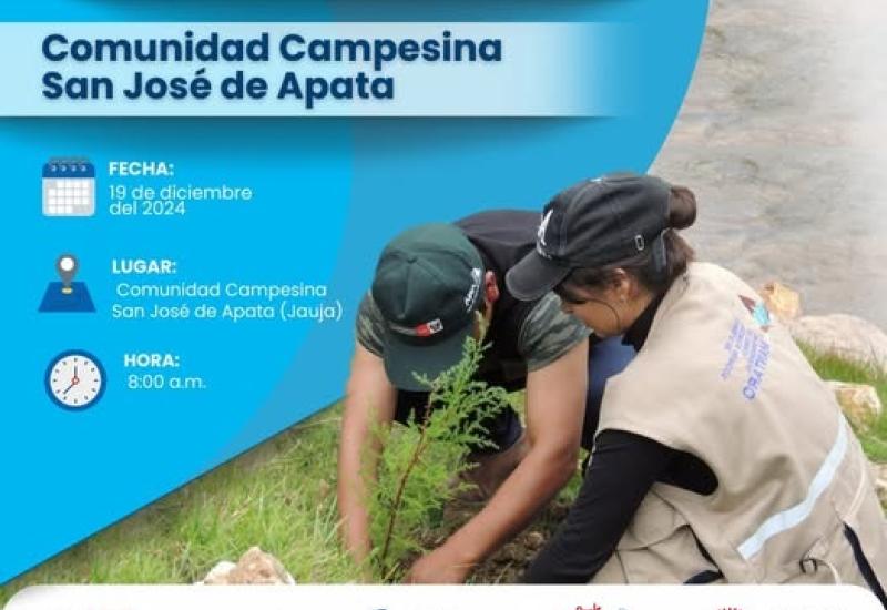 Reforestacion