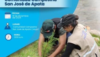 Reforestacion