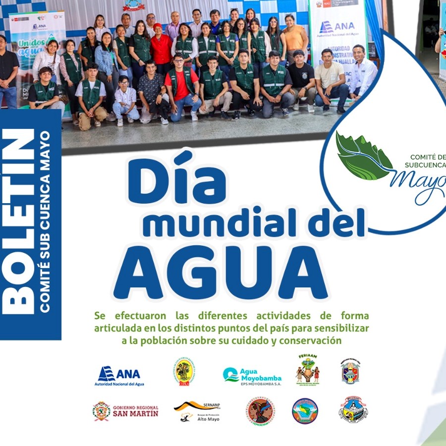 Día Mundial del Agua