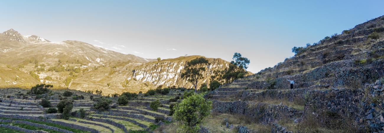 Andenes
