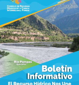 boletin