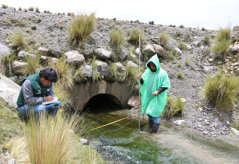 visita a campo