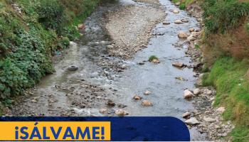 Campaña Salvemos Rio Chumbao
