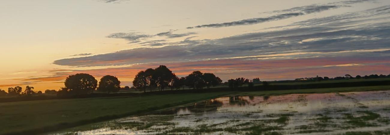 Plan de Aprovechamiento de las Disponibilidades Hídricas del Sistema Hidráulico Tumbes, para atender las demandas multisectoriales correspondientes al periodo agosto 2024 a julio 2025