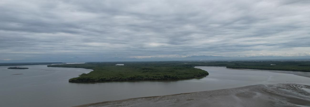 Diagnóstico de la problemática de sedimentación en ecosistema manglar 1983 - 2024